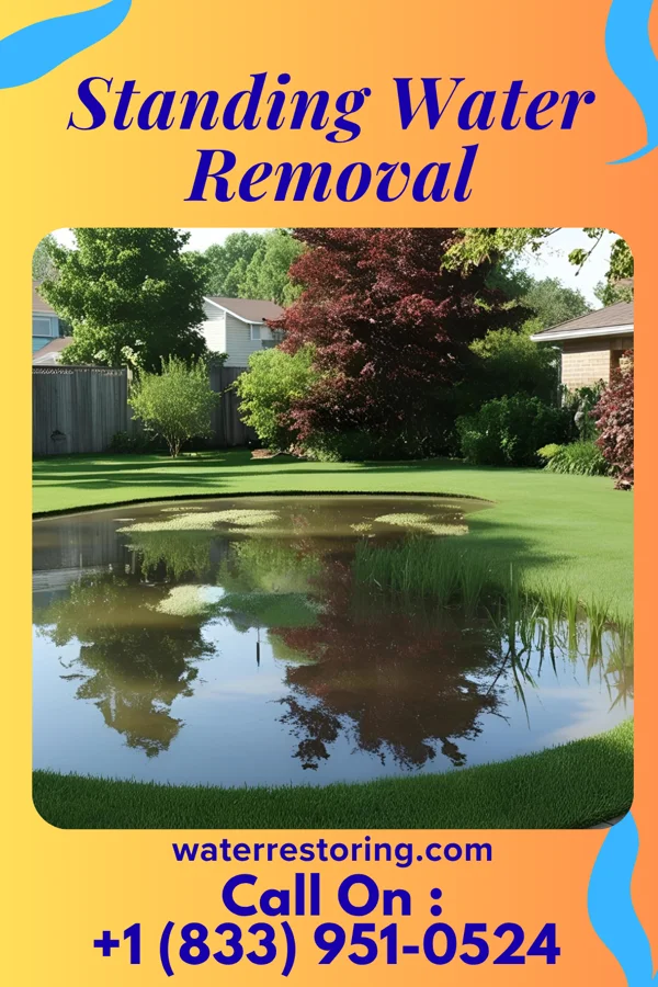 Standing Water Removal in Lockington, OH